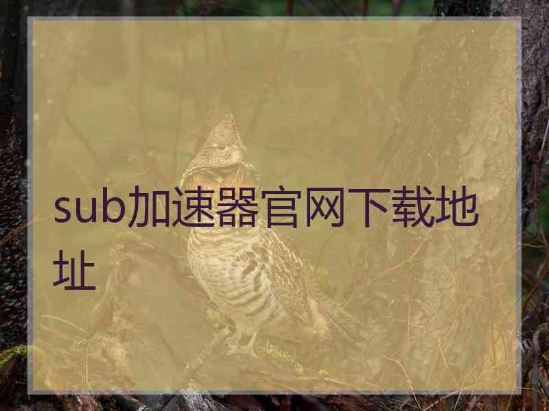 sub加速器官网下载地址