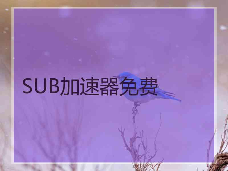 SUB加速器免费