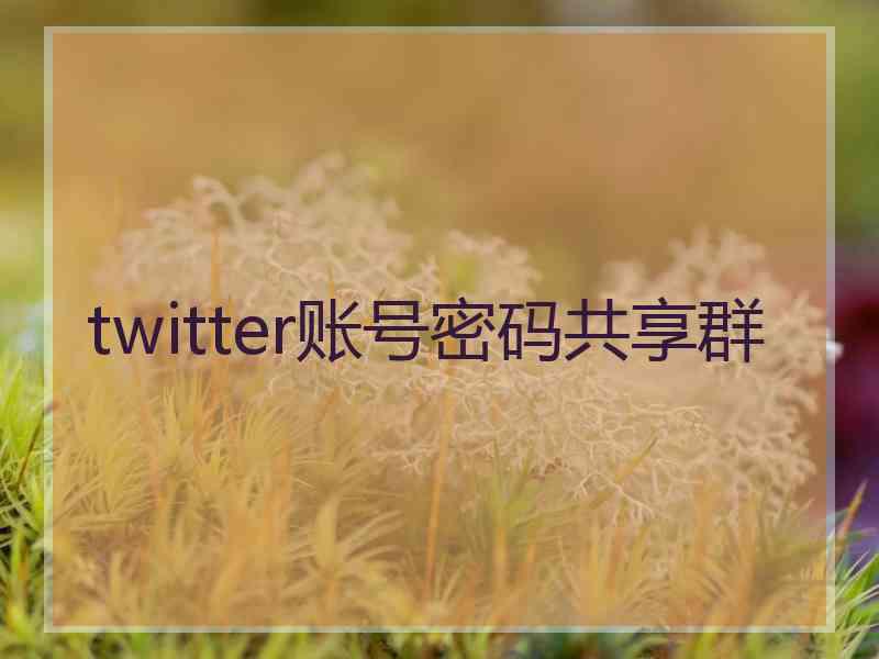 twitter账号密码共享群