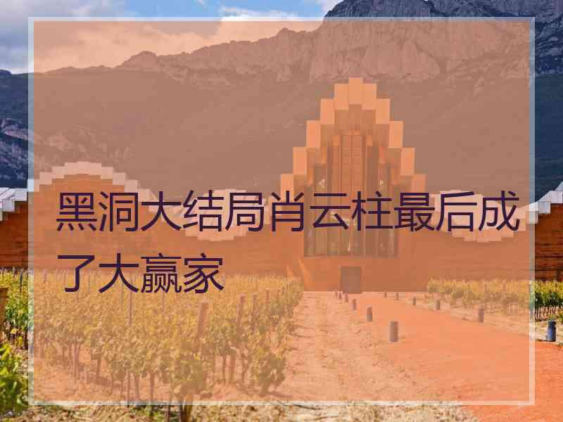 黑洞大结局肖云柱最后成了大赢家