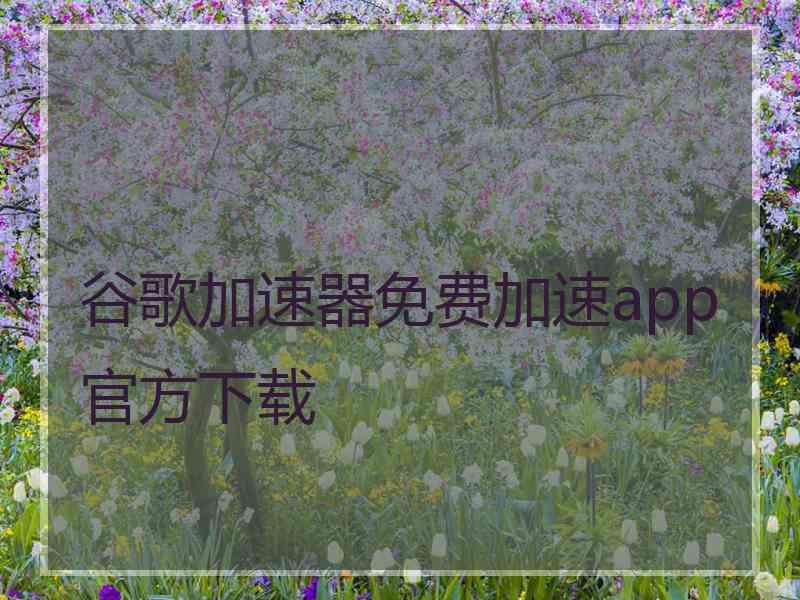 谷歌加速器免费加速app官方下载