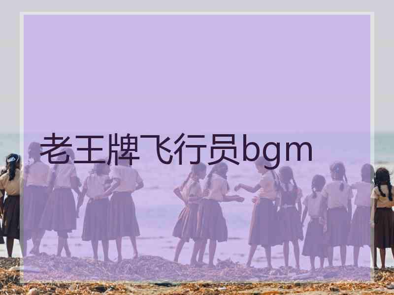 老王牌飞行员bgm