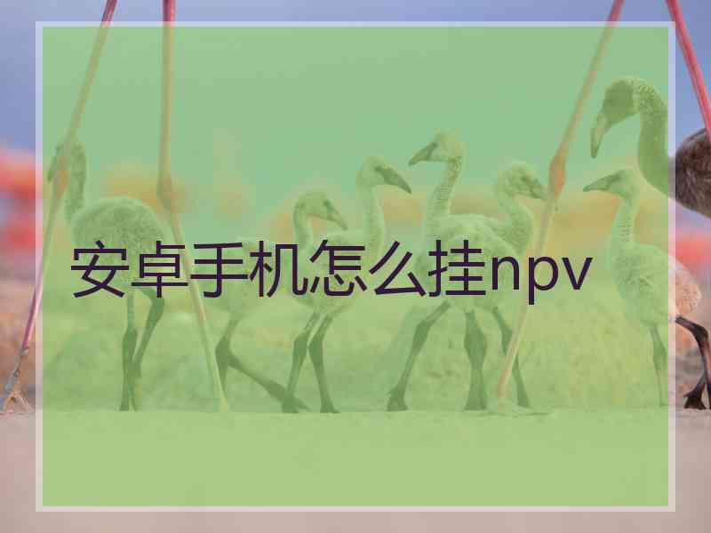 安卓手机怎么挂npv