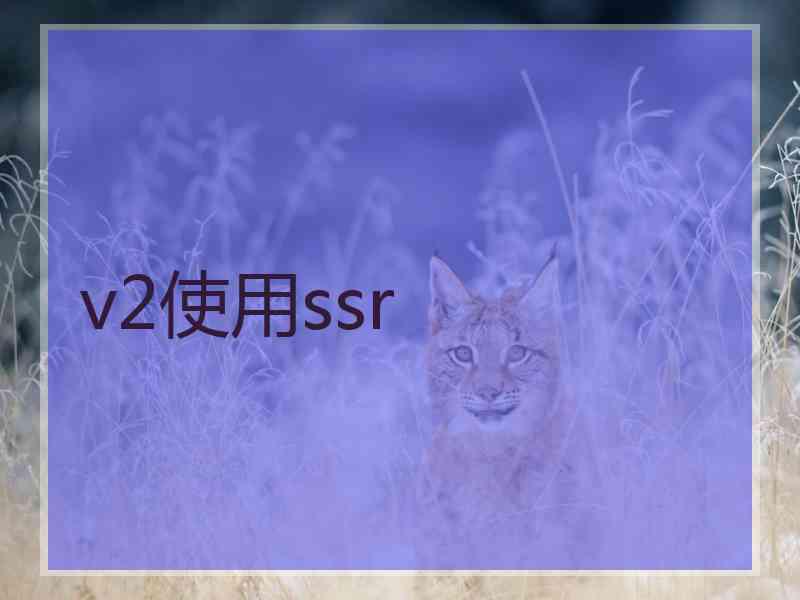 v2使用ssr