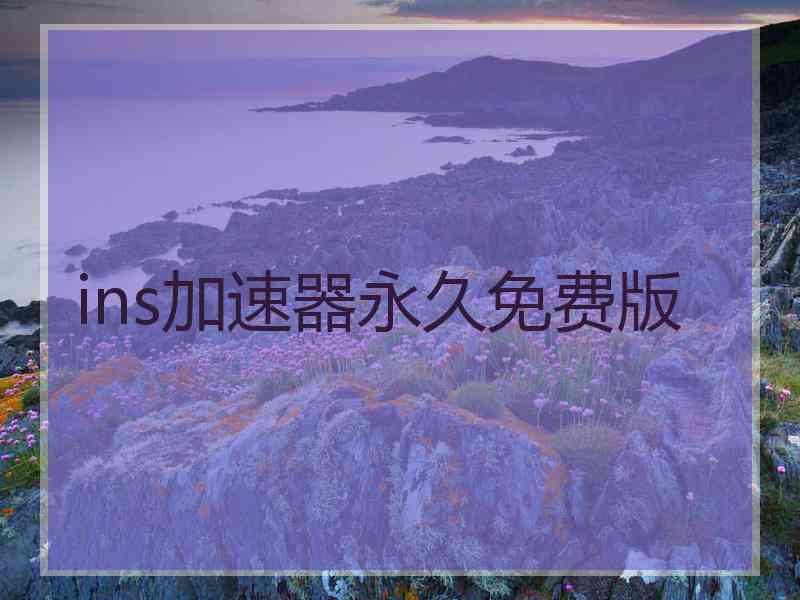 ins加速器永久免费版