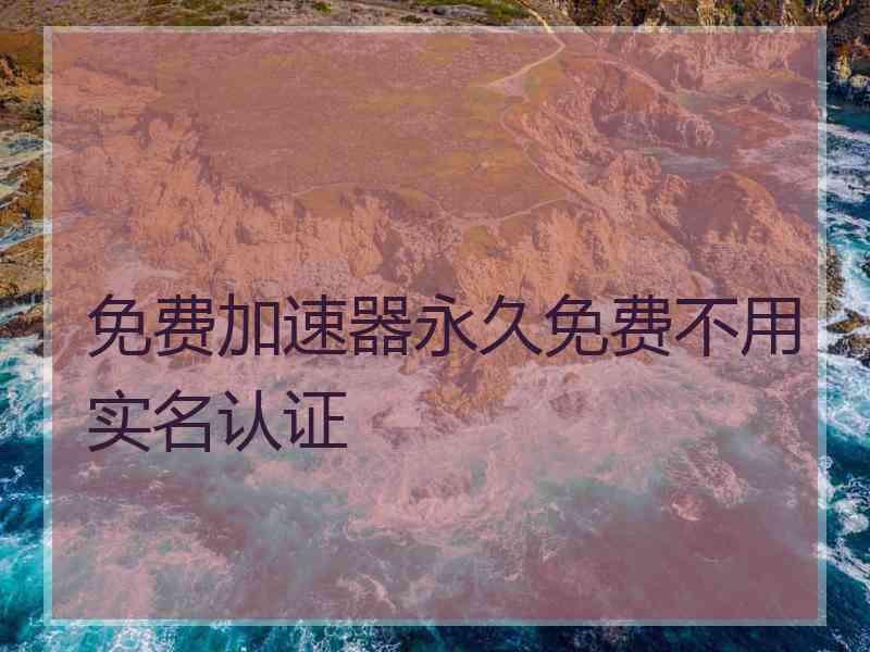 免费加速器永久免费不用实名认证