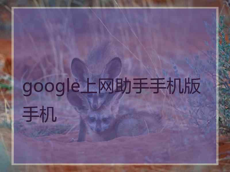 google上网助手手机版手机