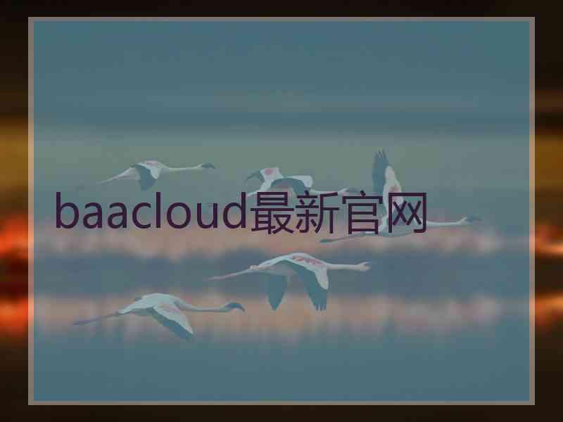 baacloud最新官网