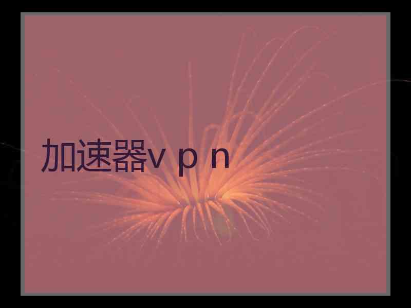 加速器v p n