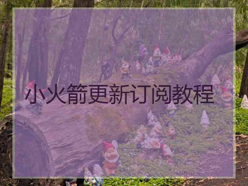 小火箭更新订阅教程