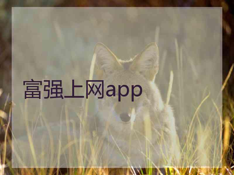 富强上网app