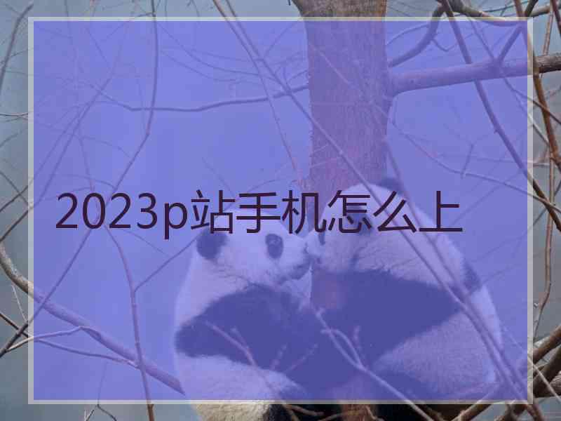 2023p站手机怎么上