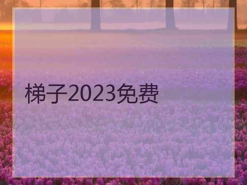 梯子2023免费