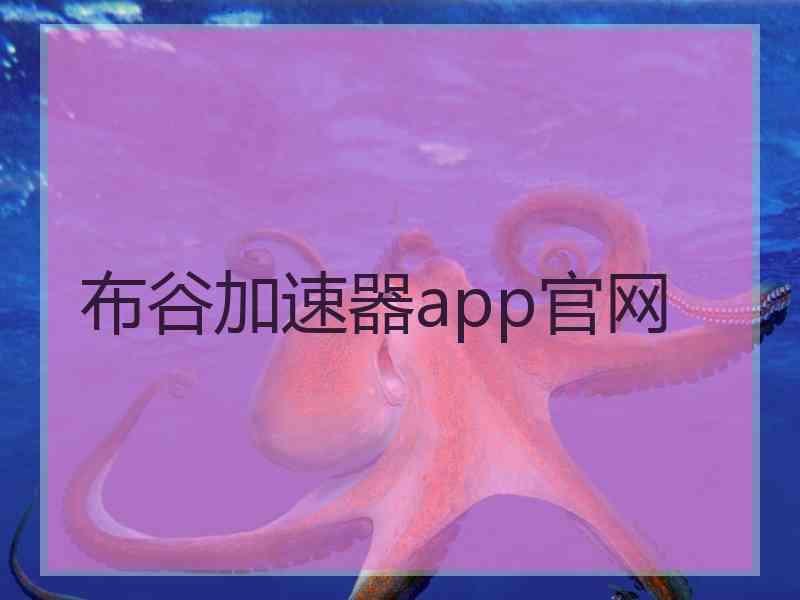 布谷加速器app官网