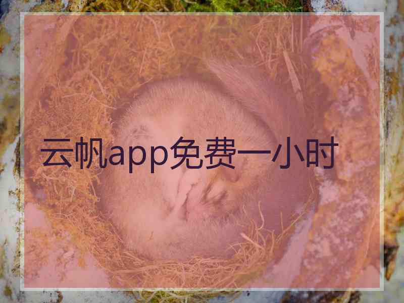 云帆app免费一小时