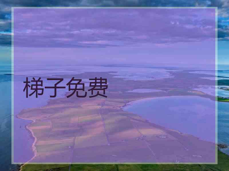 梯子免费