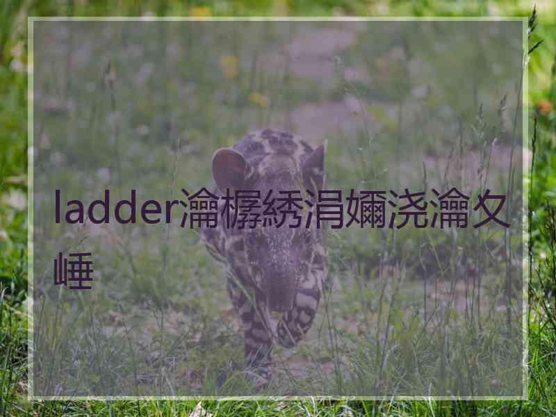 ladder瀹樼綉涓嬭浇瀹夊崜