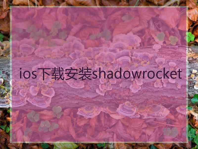 ios下载安装shadowrocket