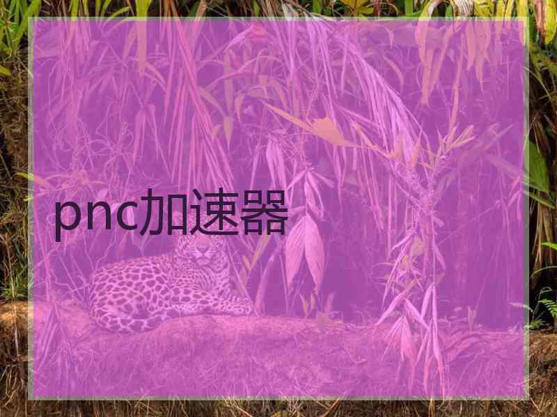 pnc加速器