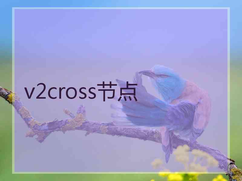 v2cross节点