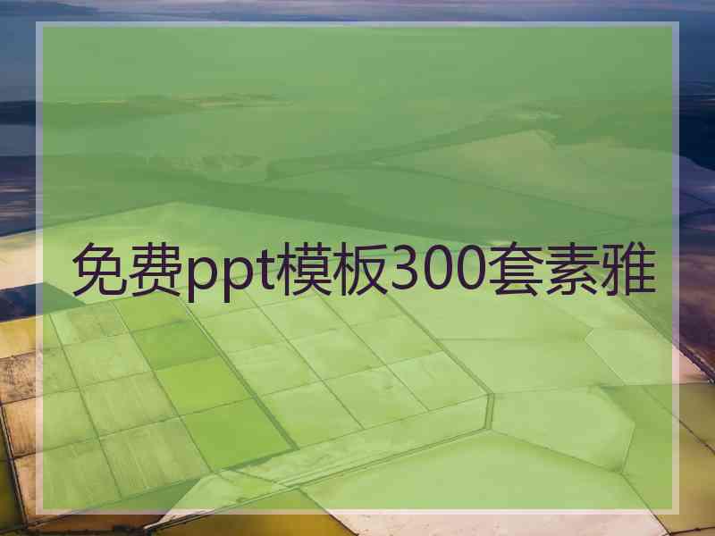 免费ppt模板300套素雅