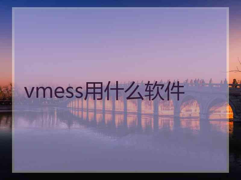 vmess用什么软件