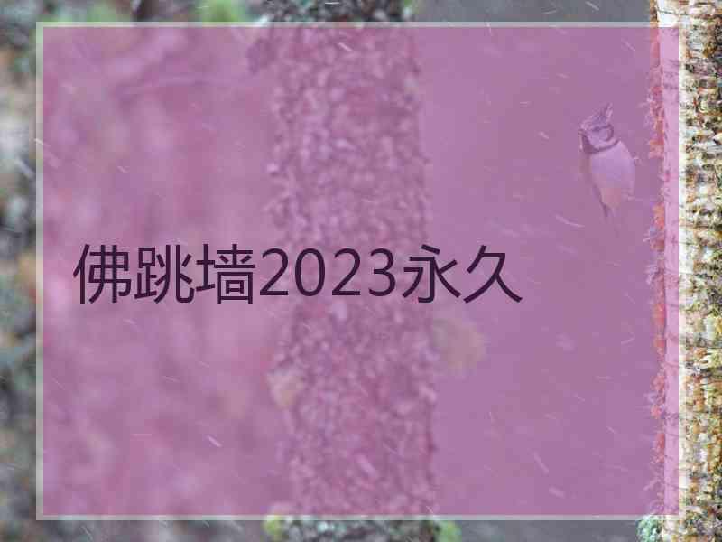 佛跳墙2023永久