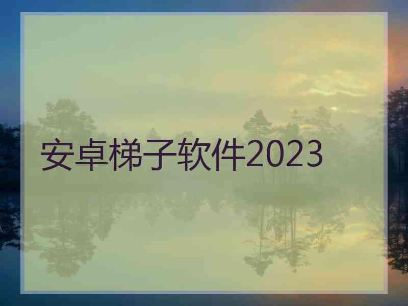 安卓梯子软件2023