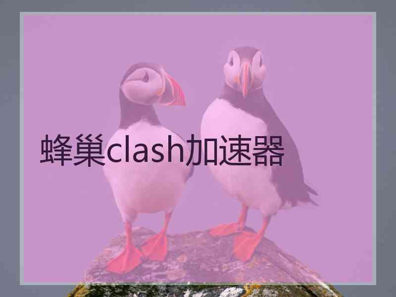 蜂巢clash加速器