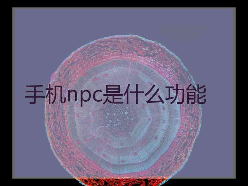 手机npc是什么功能