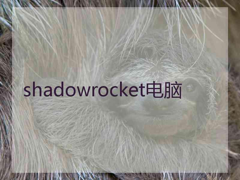 shadowrocket电脑