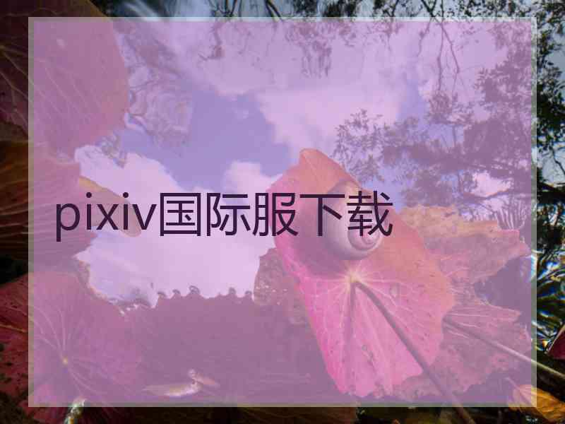 pixiv国际服下载