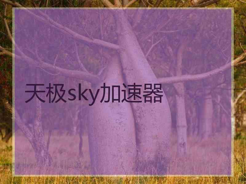 天极sky加速器