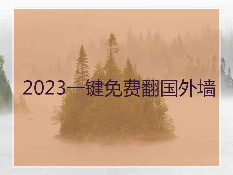 2023一键免费翻国外墙