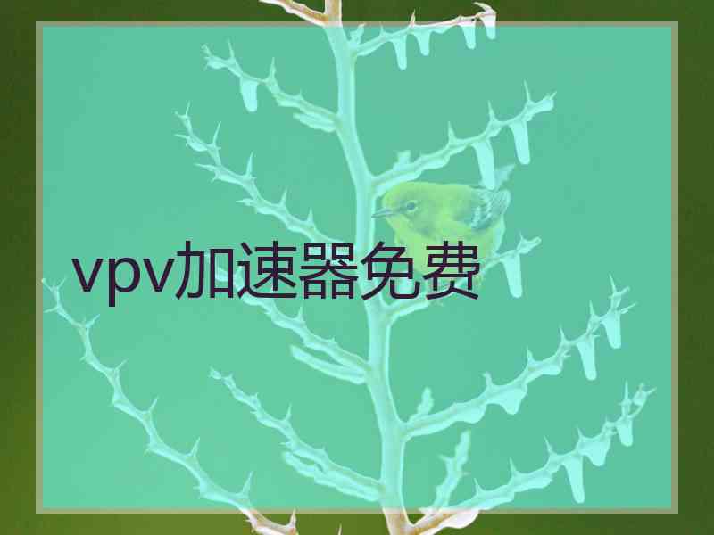 vpv加速器免费