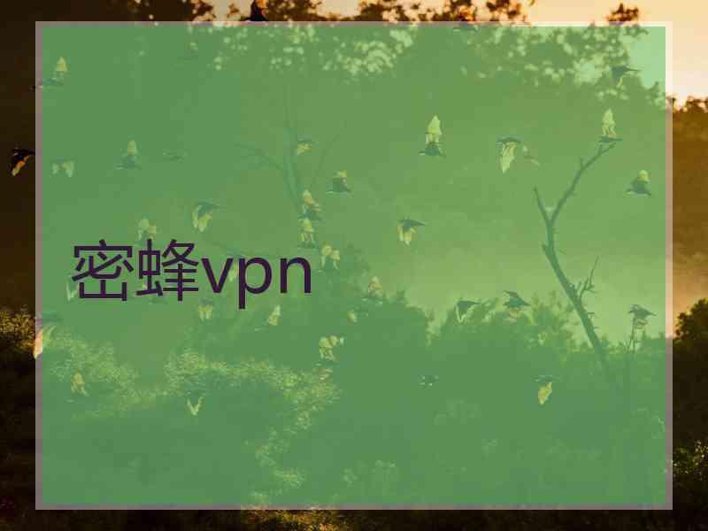 密蜂vpn