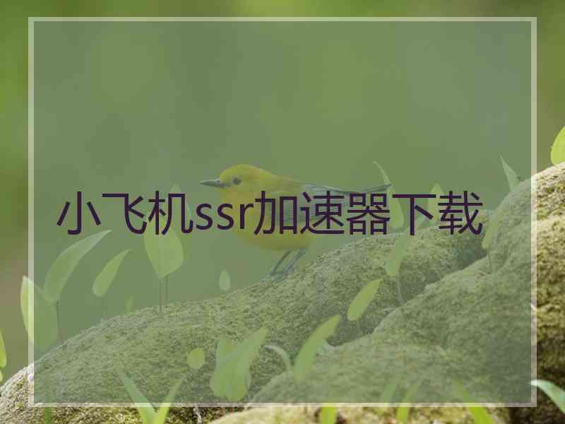 小飞机ssr加速器下载