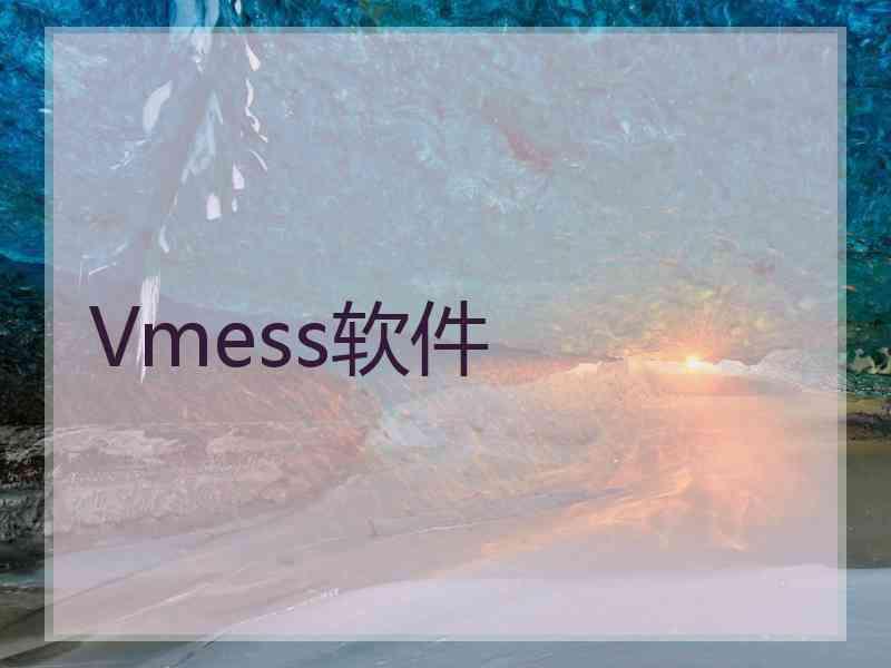 Vmess软件