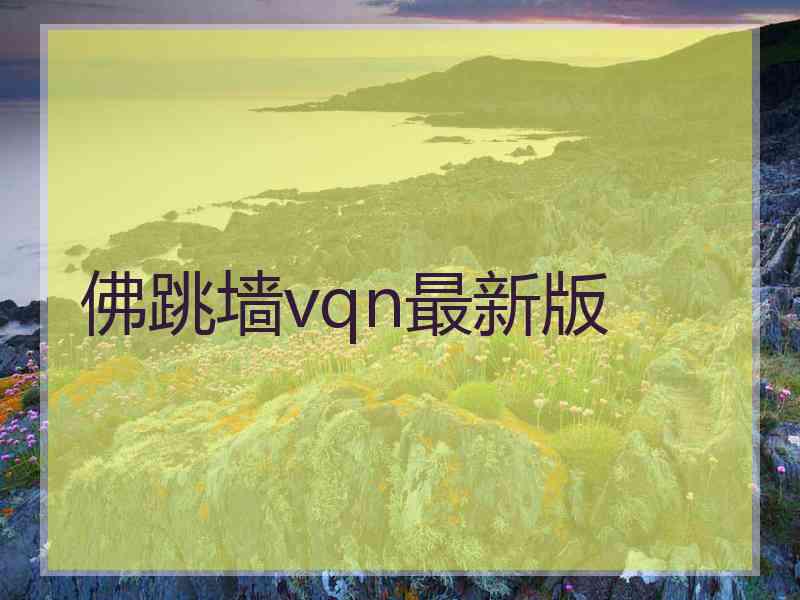 佛跳墙vqn最新版