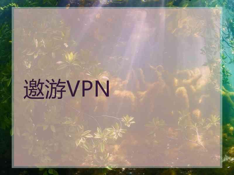 邀游VPN