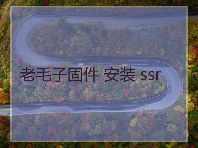 老毛子固件 安装 ssr