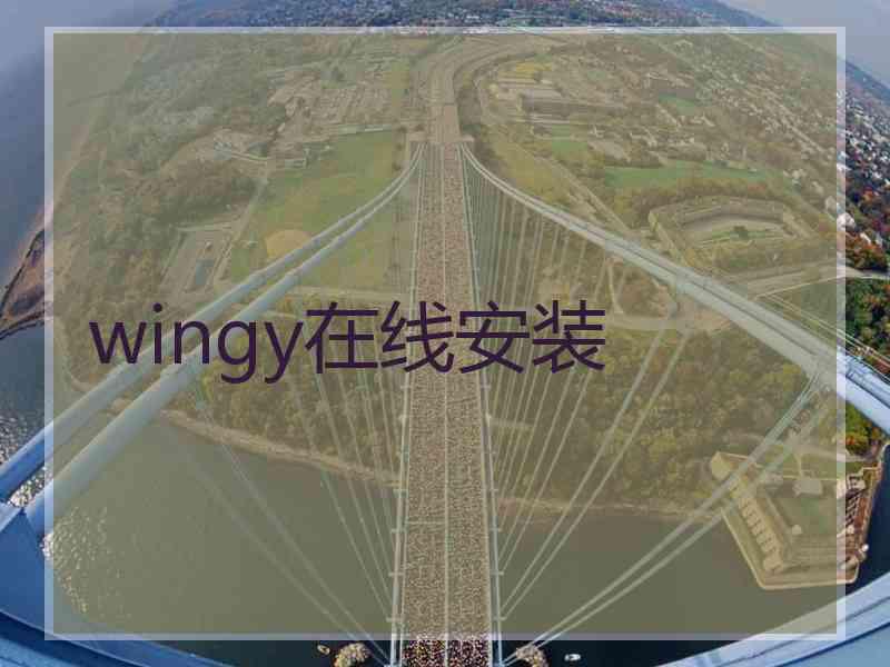 wingy在线安装