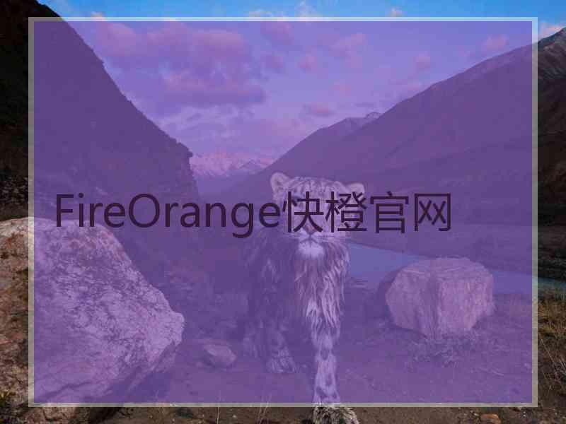 FireOrange快橙官网