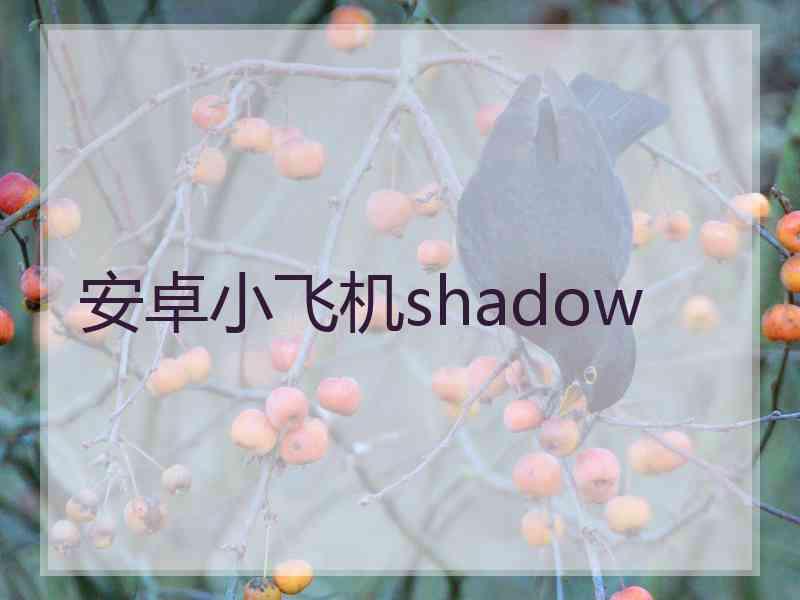 安卓小飞机shadow