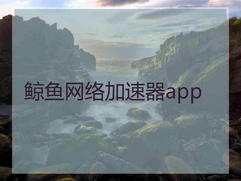 鲸鱼网络加速器app