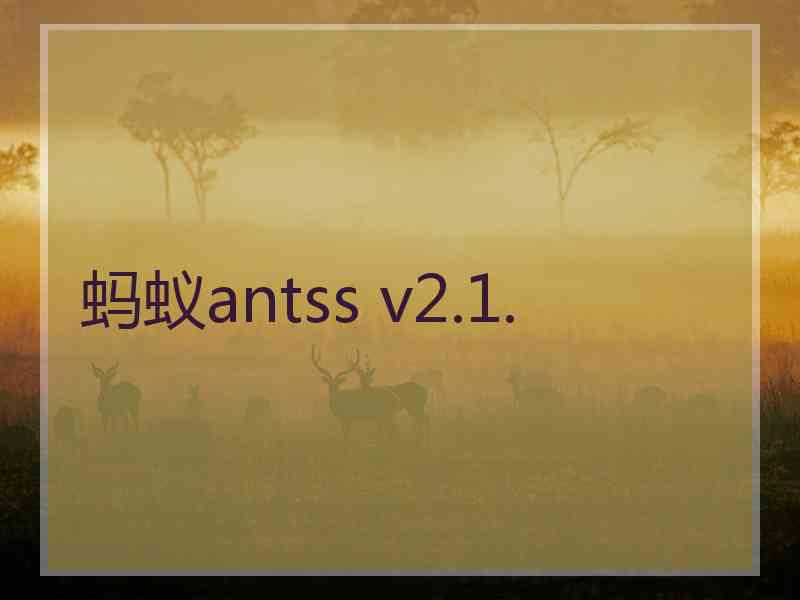 蚂蚁antss v2.1.