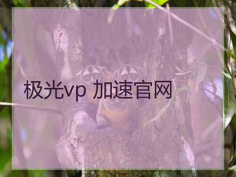 极光vp 加速官网