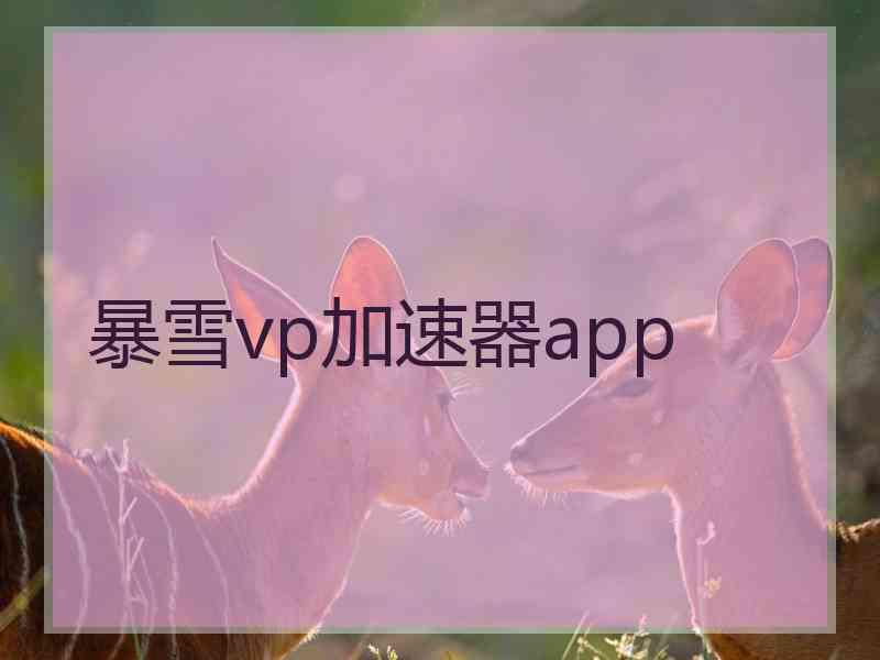 暴雪vp加速器app