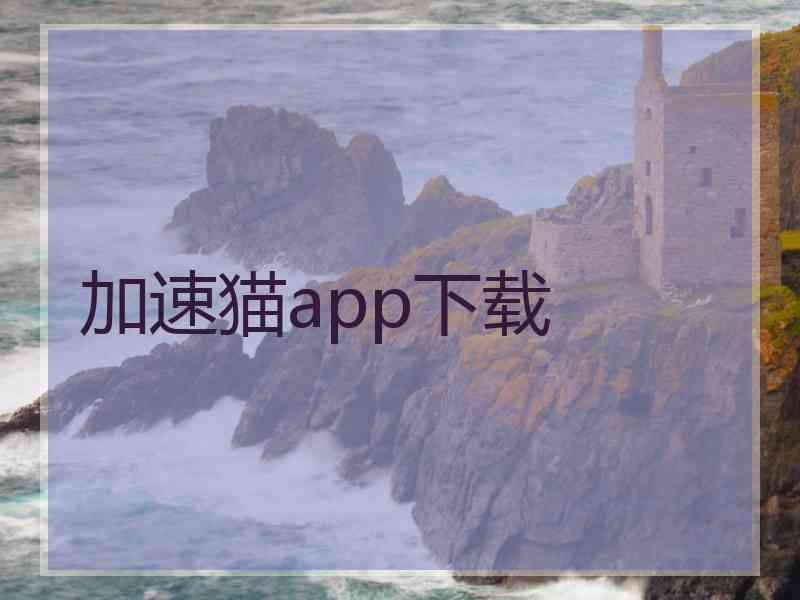 加速猫app下载