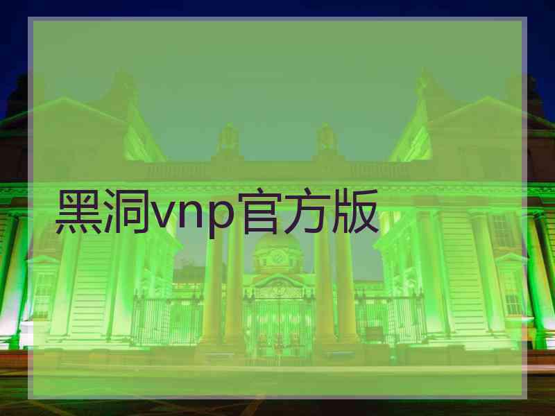 黑洞vnp官方版